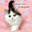 Людмила Яніцька фотография #27 (источник - https://vk.com/id54413497)