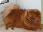 Фотография Соломахиной Лилианы