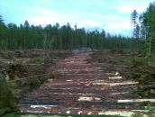 Рамиль Биккулов фотография #9 (источник - https://vk.com/id8884371)