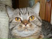 Фотография Федотовой Ирины