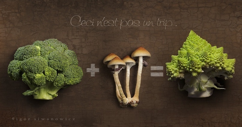 Сергей Волков фотография #44