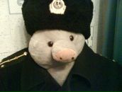 Фотография Гурова Андрея