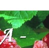 Ірина Занюк фотография #12 (источник - https://vk.com/id144608453)