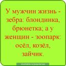 Ліза Чеканьова фотография #10 (источник - https://vk.com/id132584397)