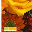 Наталія Лукянова фотография #27 (источник - https://vk.com/id44789674)