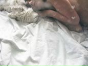 Фотография Ард Нади