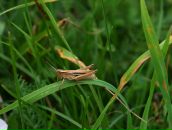 Влад Костін фотография #37 (источник - https://vk.com/id98607971)