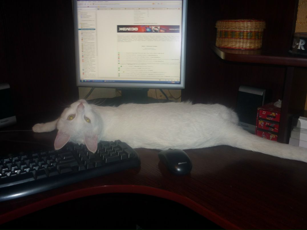 Игорь Сергеев фотография #44