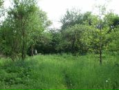 Віктор Охремов фотография #10 (источник - https://vk.com/id58064281)