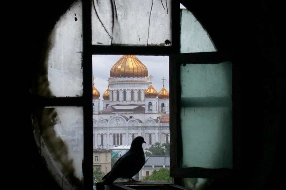 Даниил Никитин фотография #8