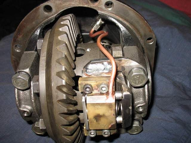 Дэвид Чарквиани фотография #18