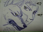 Фотография Гавриловой Ольги