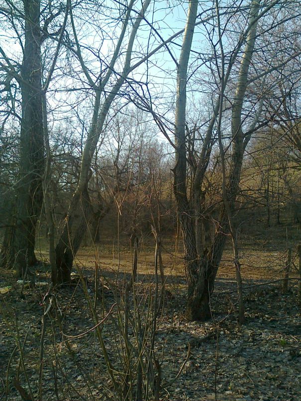 Дмитрий Лысов фотография #29