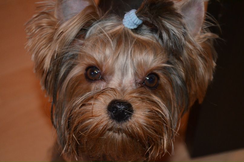 Дмитрий Дяков фотография #23