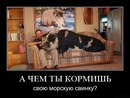 Anton Klevtsov фотография #8 (источник - https://vk.com/id166409999)