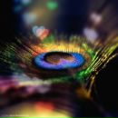 Фотография Янсон Полины