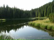 Андрій Соловйов фотография #23 (источник - https://vk.com/id22920782)