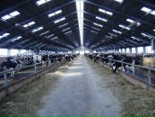 Валєра Татарин фотография #20 (источник - https://vk.com/id51318906)