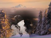 Фотография Паницкой Оли