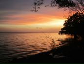 Дмитрий Гомон фотография #28 (источник - https://vk.com/id833603)