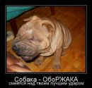 Фотография Киселева Анастасия