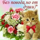 Ірина Бойко фотография #2 (источник - https://vk.com/id170006825)