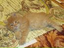 Фотография Ким Марианны