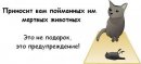 ДіМкА 4a$sNoKk фотография #11 (источник - https://vk.com/id53751072)
