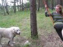 Umka == фотография #28 (источник - https://vk.com/id18661250)