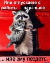 Денис Процько фотография #23 (источник - https://vk.com/id2994460)