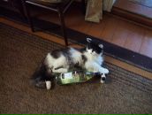 Ігор Капанюк фотография #9 (источник - https://vk.com/id70134363)