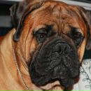 Фотография Конопельченко Натальи