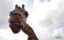 Валік Бабич фотография #18 (источник - https://vk.com/id143628676)