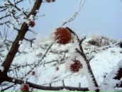 Ігор Костючок фотография #14 (источник - https://vk.com/id158618032)