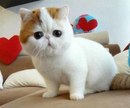Лєночка Сидяга фотография #13 (источник - https://vk.com/id165113162)