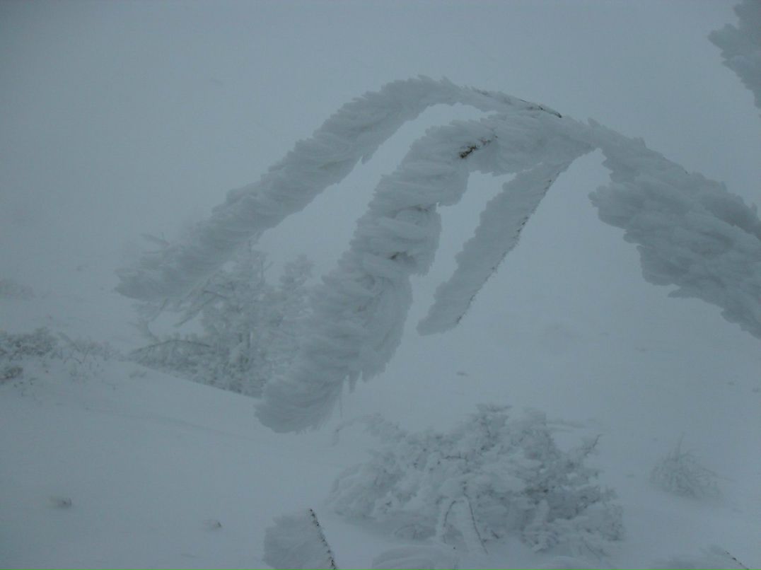 Дмитрий Журба фотография #22