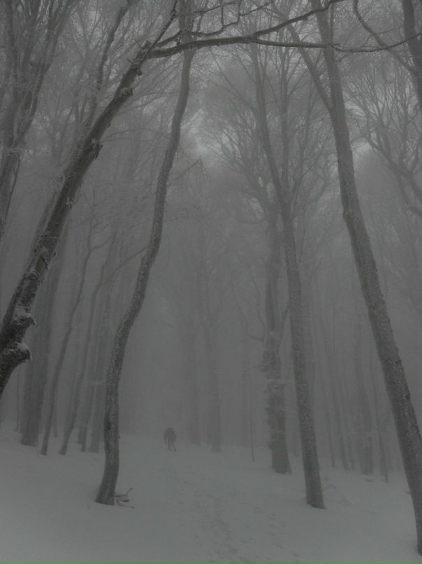 Дмитрий Журба фотография #44