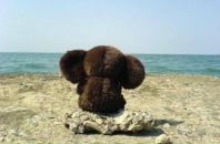 Фотография Калинина Пашки