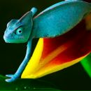 Віталій Луценко фотография #8 (источник - https://vk.com/id37210842)