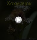 Ігор Совсунець фотография #23 (источник - https://vk.com/id159988693)