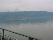 Irina Countess фотография #38 (источник - https://vk.com/id167366365)