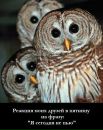 Євгеній Харченко фотография #9 (источник - https://vk.com/id27411259)