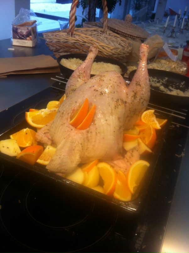 Alexander Plotkin фотография #25