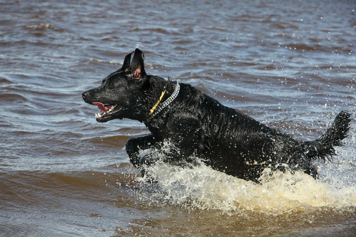 Даниил Сидоров фотография #36