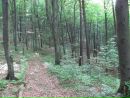 Володимир Кічула фотография #1