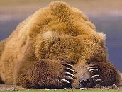 Фотография Шаймардановой Риды