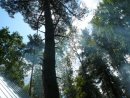 Фотография Плацынды Елены