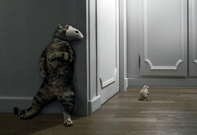 Евгений Луценко фотография #34