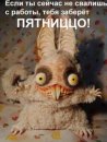 Ігорка Немкович фотография #16 (источник - https://vk.com/id28420644)