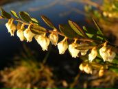 Андрій Гірак фотография #25 (источник - https://vk.com/id77108009)